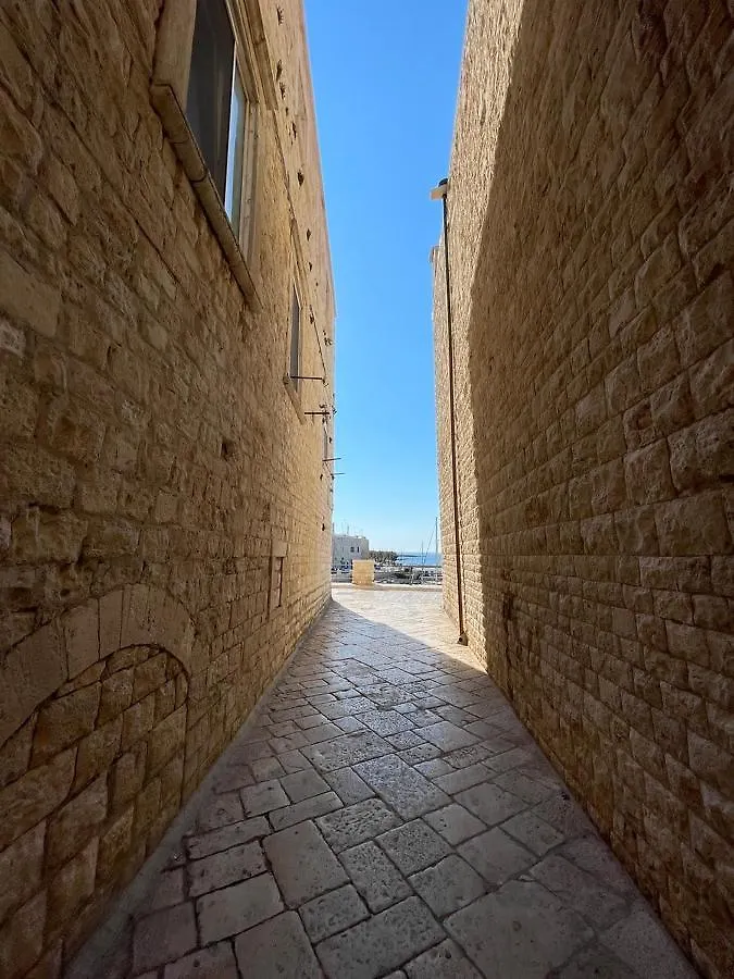 Il Saraceno Apartment Giovinazzo
